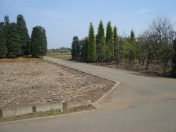 さくら農園 貸し農園 市民農園 農園管理 農園仲介